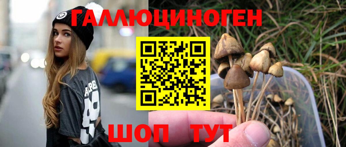 Псилоцибиновые грибы Cubensis  Галлюциногенные грибы Psilocybe  Прокопьевск  магазин продажи   Вход с VPN 